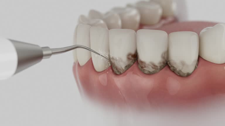 Reliable Dental contractor in Ives Estates, FL by Dentist Open Now