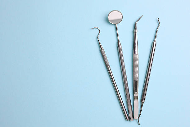 Top rated local Dental specialists in Ives Estates, FL